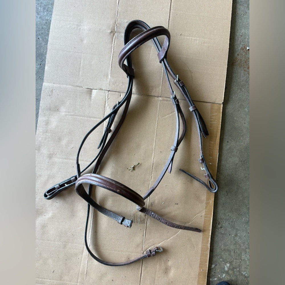 English bridle lot